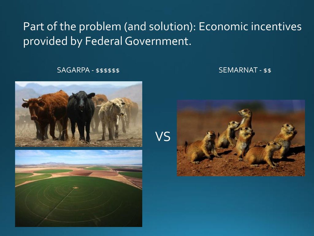 Part of the problem (and solution): Economic incentives provided by Federal Government.