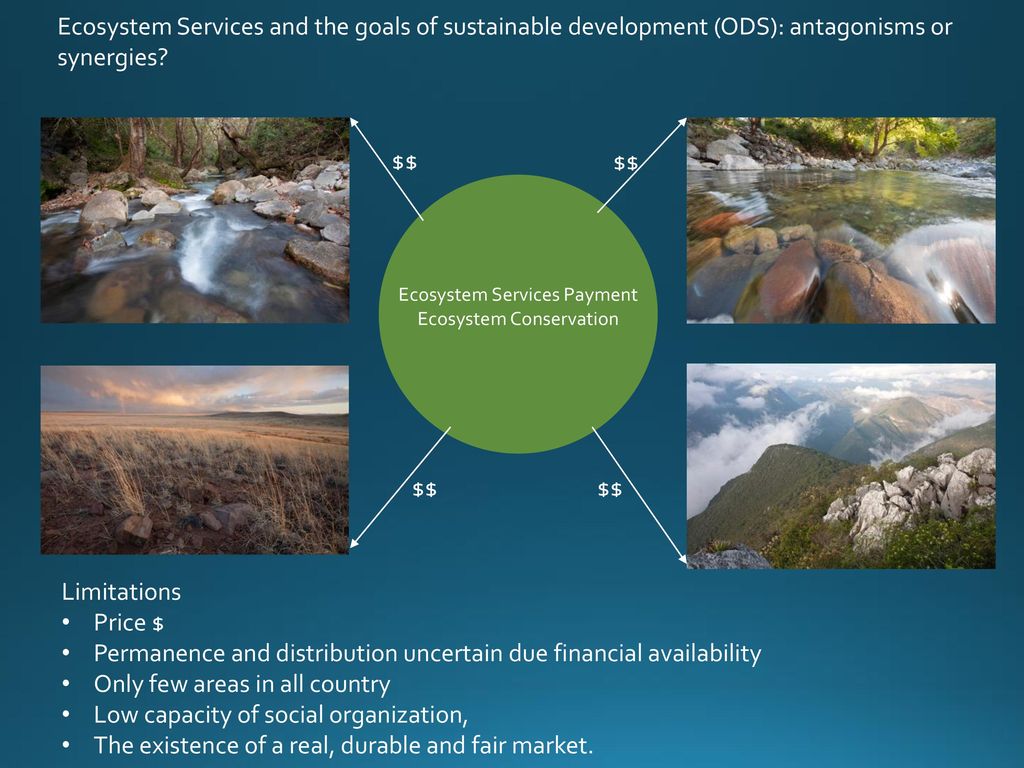 Ecosystem Services and the goals of sustainable development (ODS): antagonisms or synergies