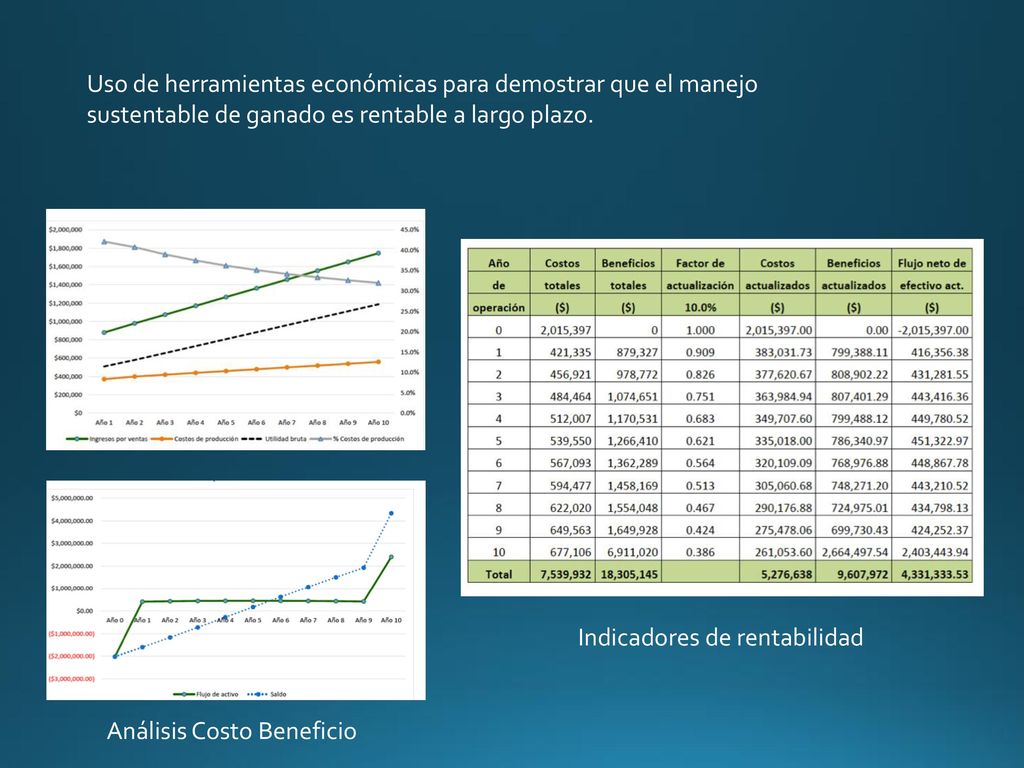 Uso de herramientas económicas para demostrar que el manejo sustentable de ganado es rentable a largo plazo.