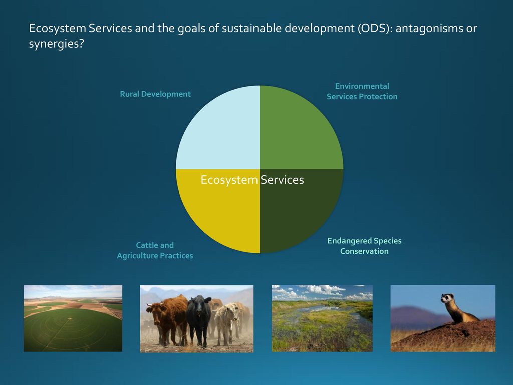 Ecosystem Services and the goals of sustainable development (ODS): antagonisms or synergies