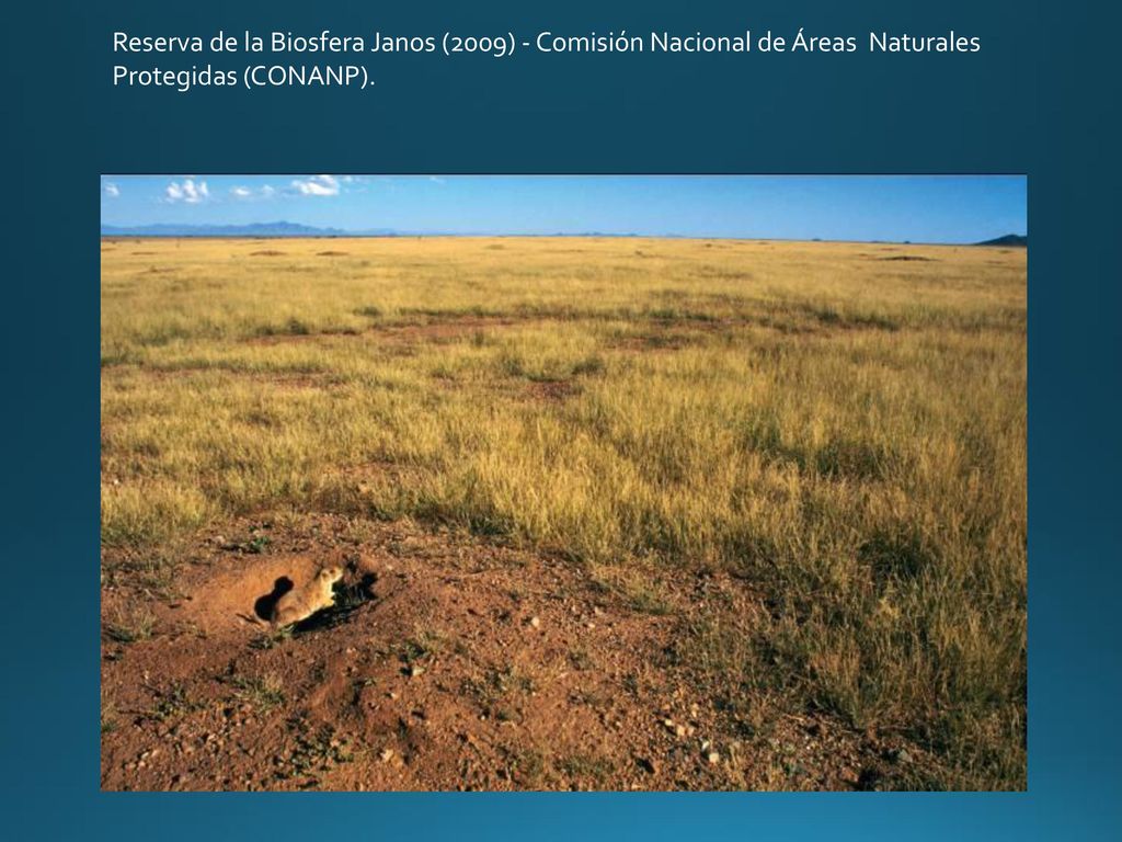 Reserva de la Biosfera Janos (2009) - Comisión Nacional de Áreas Naturales Protegidas (CONANP).