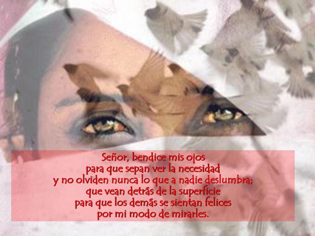 Señor, bendice mis ojos para que sepan ver la necesidad y no olviden nunca lo que a nadie deslumbra; que vean detrás de la superficie para que los demás se sientan felices por mi modo de mirarles.
