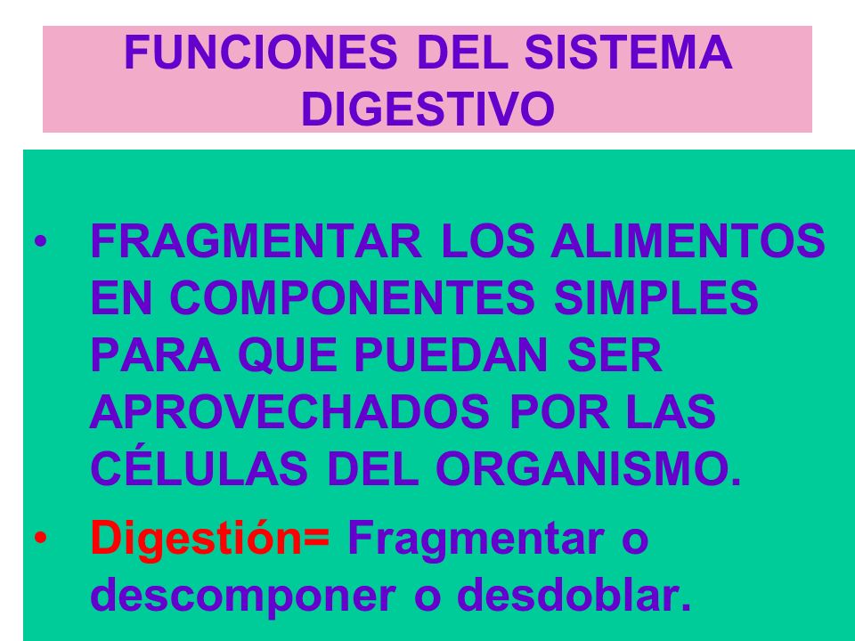 FUNCIONES DEL SISTEMA DIGESTIVO