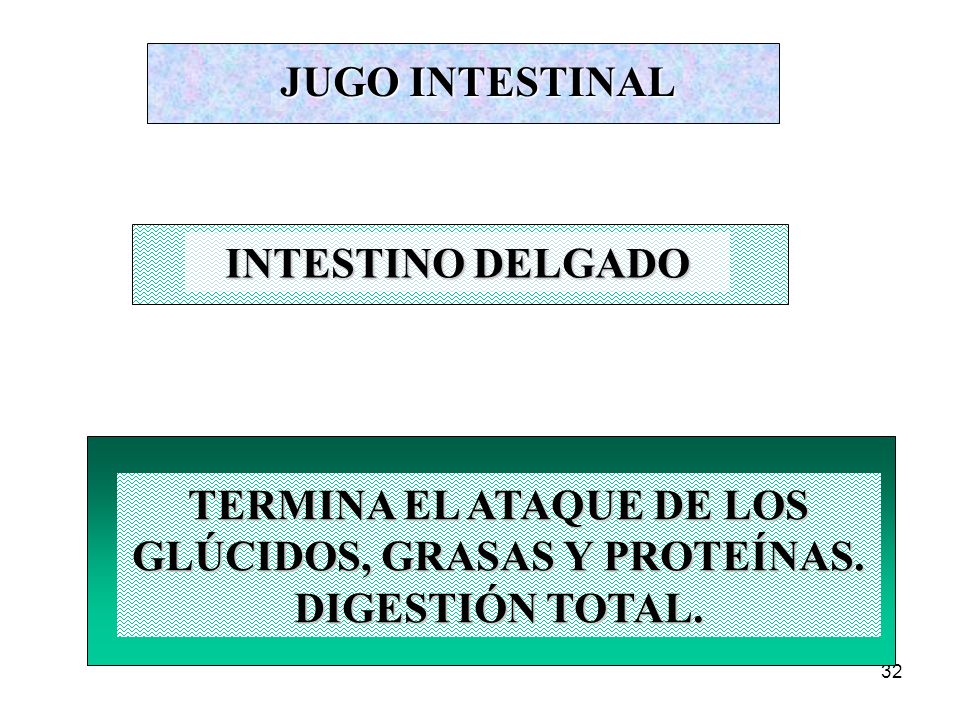 JUGO INTESTINAL INTESTINO DELGADO. TERMINA EL ATAQUE DE LOS GLÚCIDOS, GRASAS Y PROTEÍNAS.