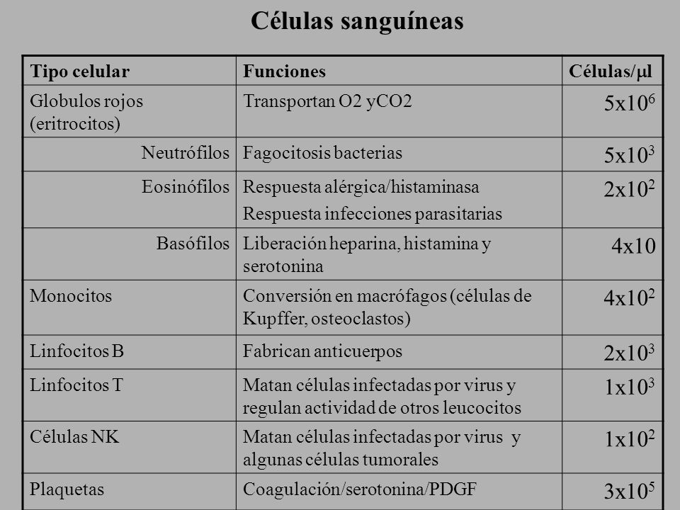 Células sanguíneas 5x106 5x103 2x102 4x10 4x102 2x103 1x103 1x102