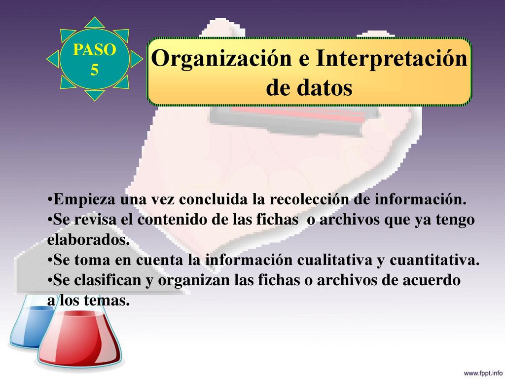 Organización e Interpretación