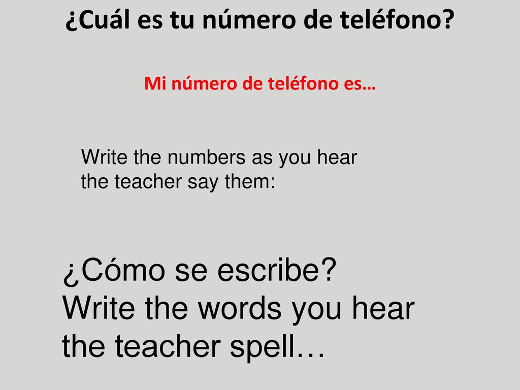 ¿Cuál es tu número de teléfono Mi número de teléfono es…