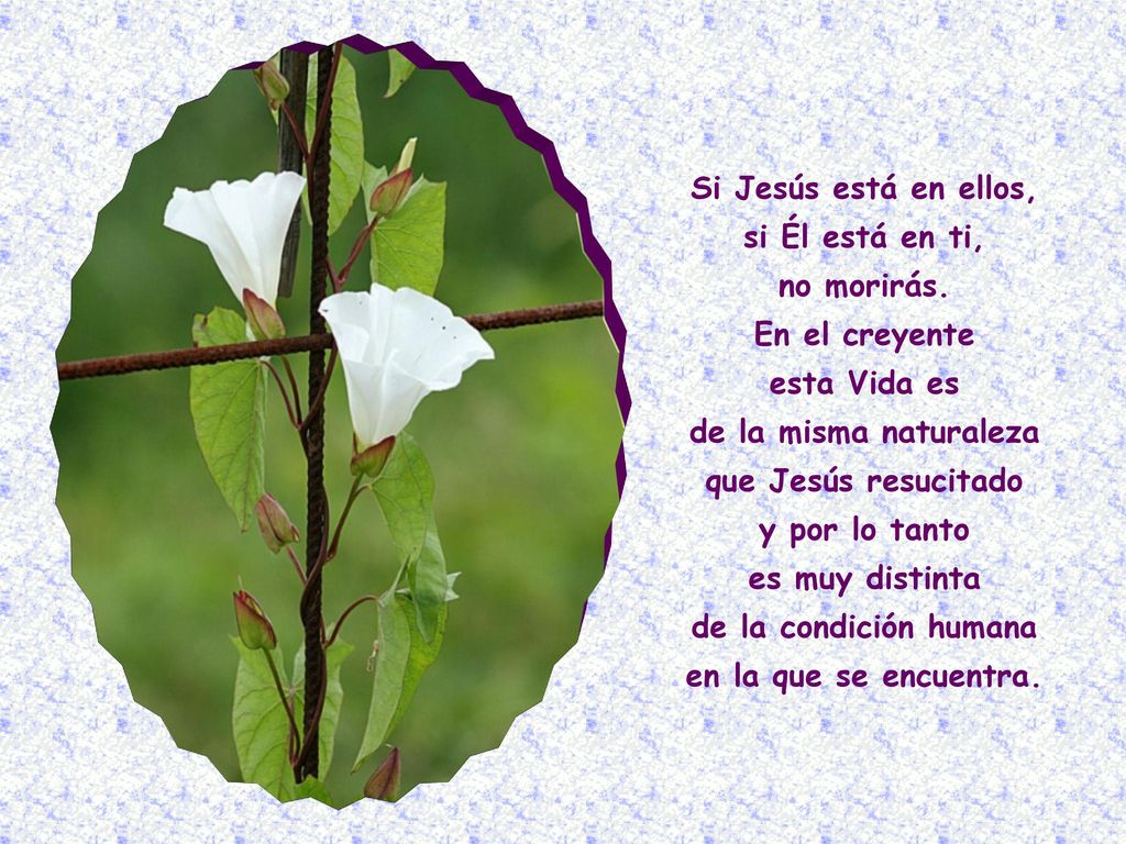 Si Jesús está en ellos, si Él está en ti,