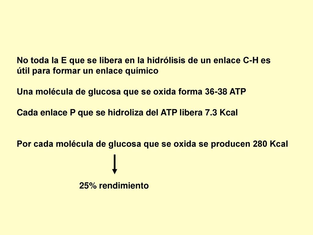No toda la E que se libera en la hidrólisis de un enlace C-H es
