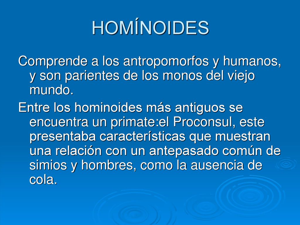 HOMÍNOIDES Comprende a los antropomorfos y humanos, y son parientes de los monos del viejo mundo.