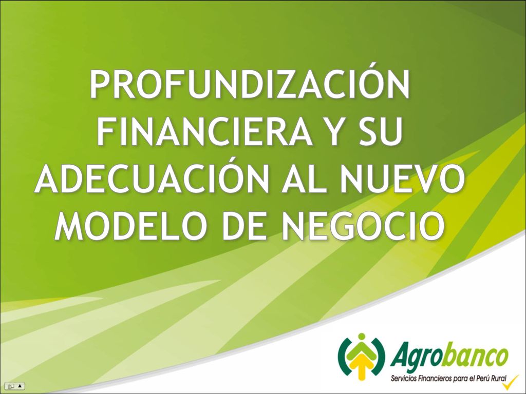 PROFUNDIZACIÓN FINANCIERA Y SU ADECUACIÓN AL NUEVO MODELO DE NEGOCIO