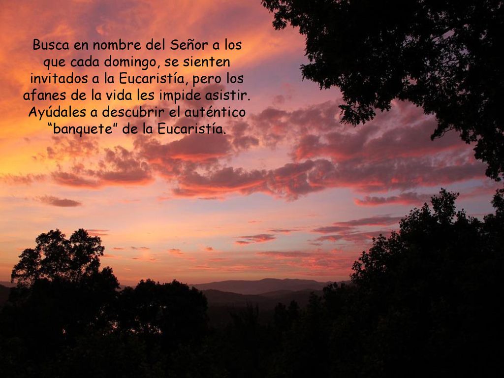 Busca en nombre del Señor a los que cada domingo, se sienten invitados a la Eucaristía, pero los afanes de la vida les impide asistir.