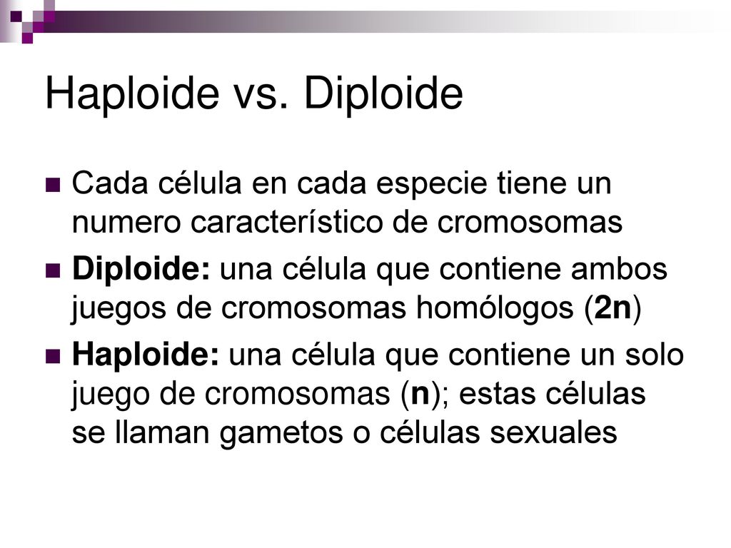 Haploide vs. Diploide Cada célula en cada especie tiene un numero característico de cromosomas.