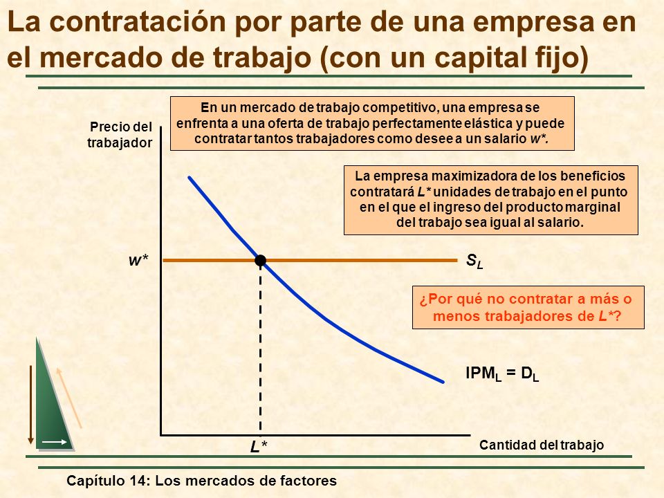 La contratación por parte de una empresa en el mercado de trabajo (con un capital fijo)
