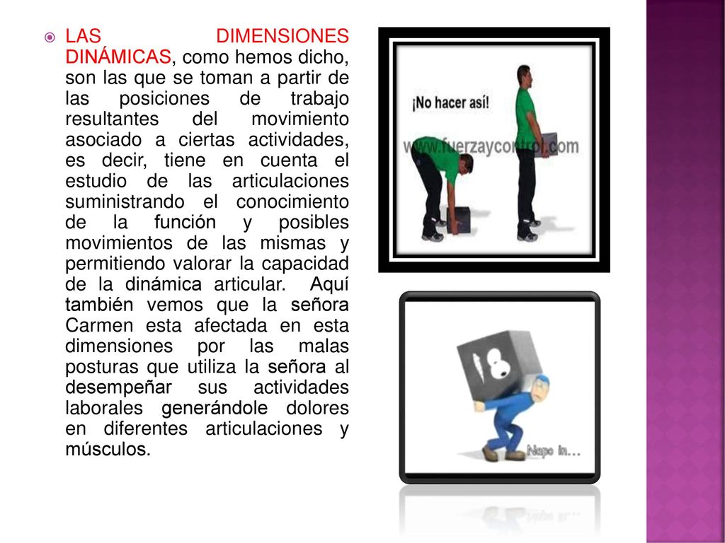 LAS DIMENSIONES DINÁMICAS, como hemos dicho, son las que se toman a partir de las posiciones de trabajo resultantes del movimiento asociado a ciertas actividades, es decir, tiene en cuenta el estudio de las articulaciones suministrando el conocimiento de la función y posibles movimientos de las mismas y permitiendo valorar la capacidad de la dinámica articular.