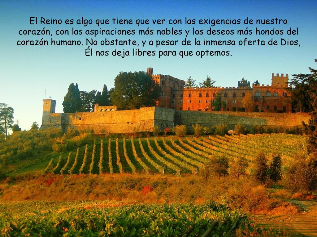 El Reino es algo que tiene que ver con las exigencias de nuestro corazón, con las aspiraciones más nobles y los deseos más hondos del corazón humano.