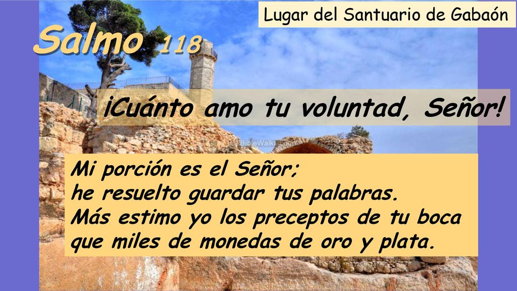 Salmo 118 ¡Cuánto amo tu voluntad, Señor! Mi porción es el Señor;