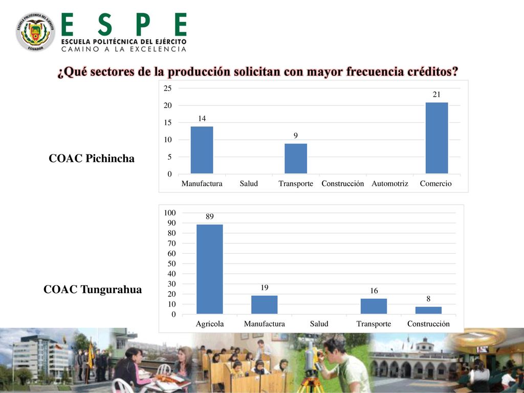¿Qué sectores de la producción solicitan con mayor frecuencia créditos