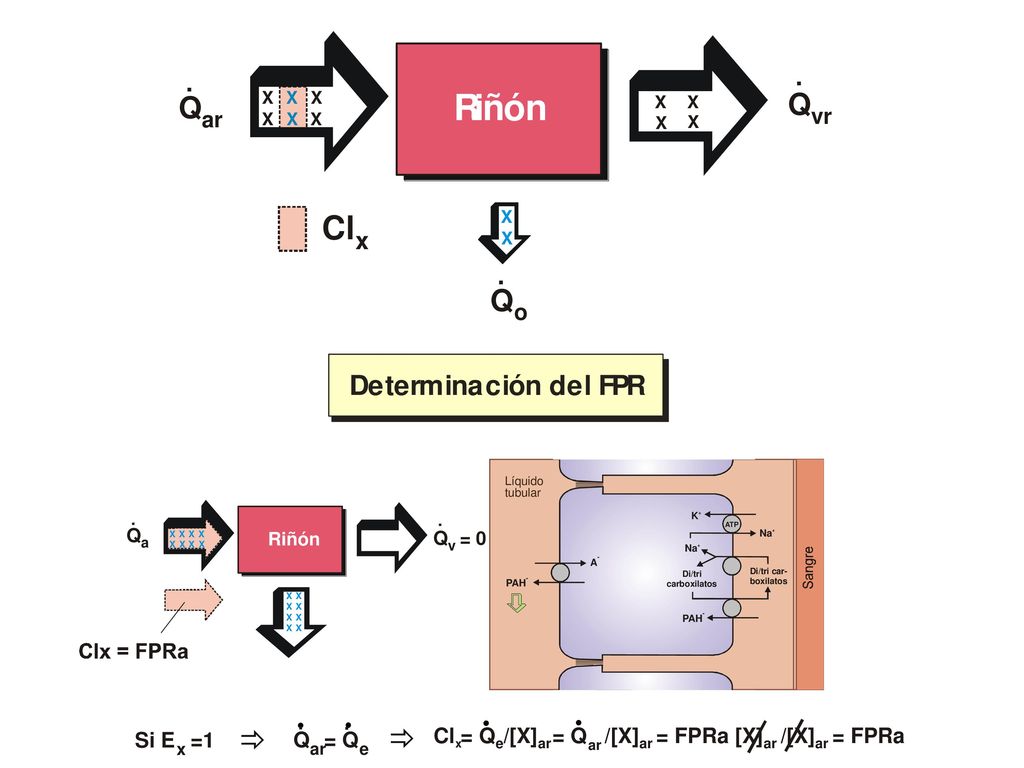 . Q = Q Si E =1 Cl = Qe/[X]ar = Q /[X]ar = FPRa [X]ar /[X]ar = FPRa
