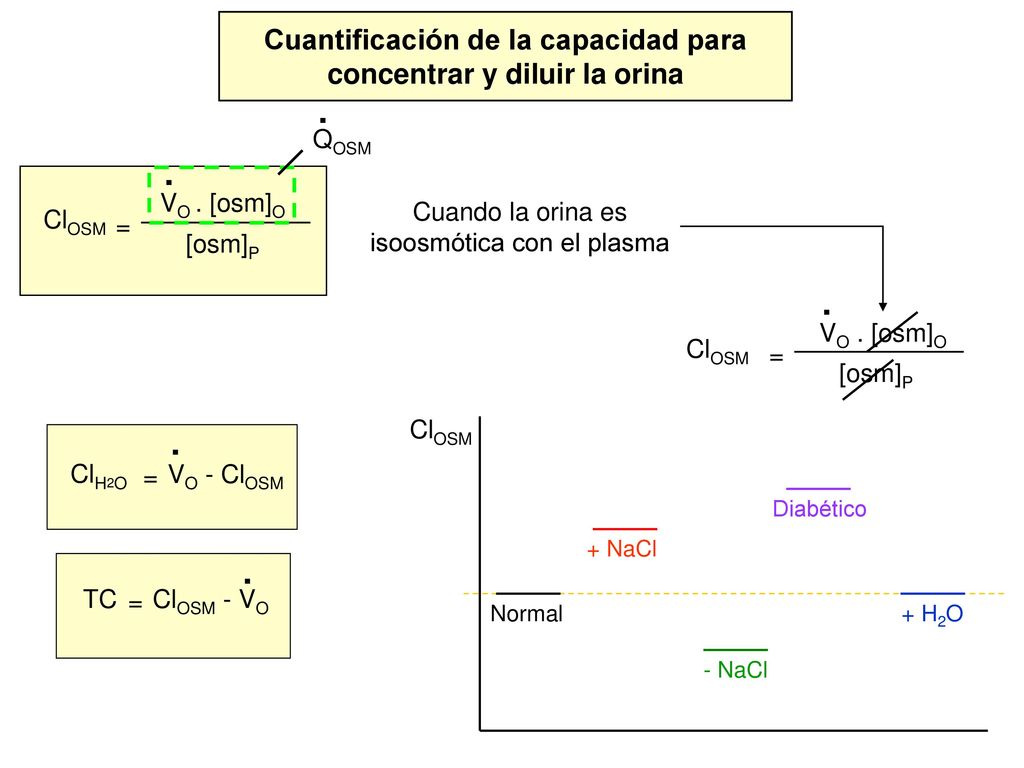 Cuantificación de la capacidad para concentrar y diluir la orina