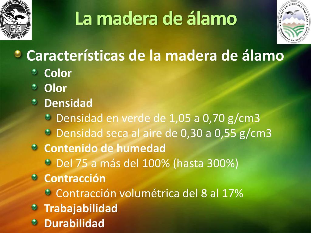 La madera de álamo Características de la madera de álamo Color Olor