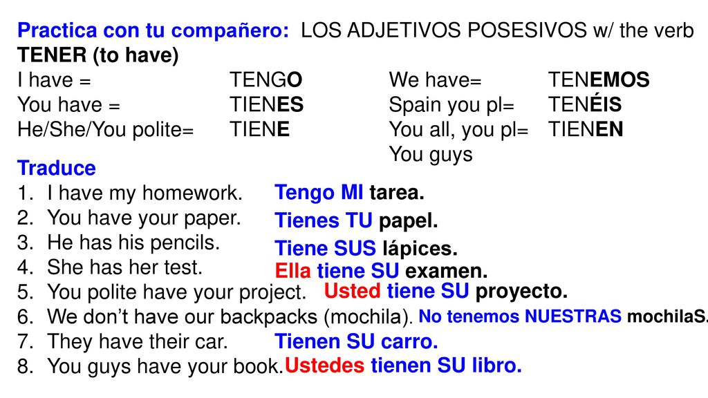 Practica con tu compañero: LOS ADJETIVOS POSESIVOS w/ the verb