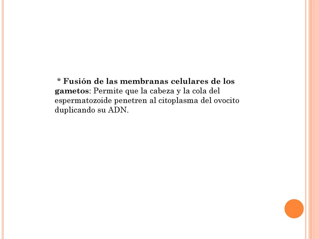 * Fusión de las membranas celulares de los gametos: Permite que la cabeza y la cola del espermatozoide penetren al citoplasma del ovocito duplicando su ADN.
