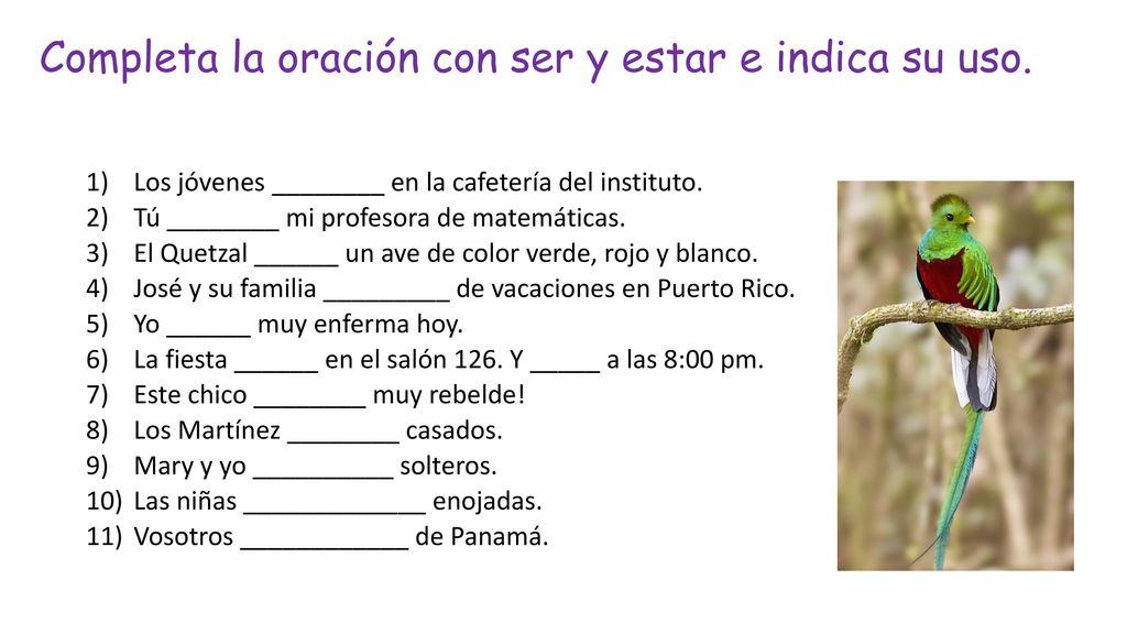 Completa la oración con ser y estar e indica su uso.