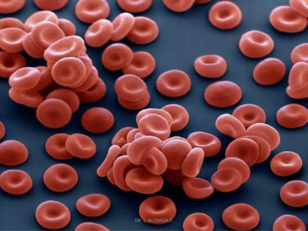 electrónico de barrido menos la del virus del SARS que esta hecha con un microscopio electrónico de transmisión. Podéis ver más en la pagina Science Photo Library.