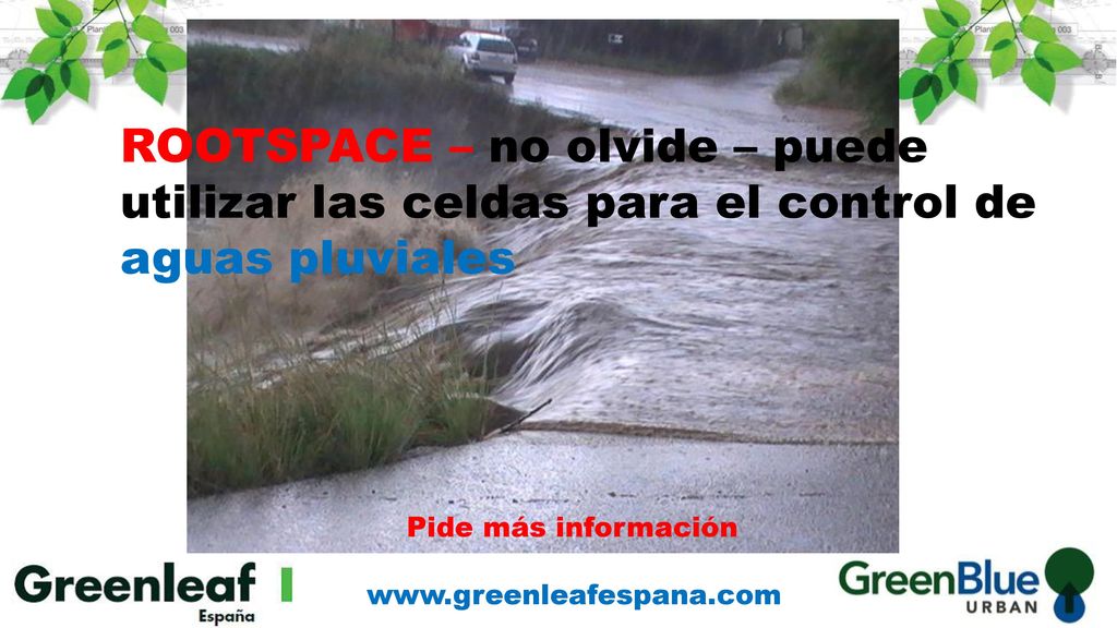 ROOTSPACE – no olvide – puede utilizar las celdas para el control de aguas pluviales