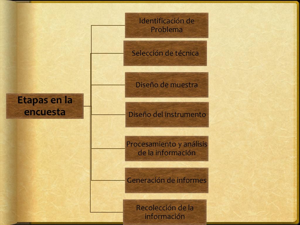 Etapas en la encuesta Identificación de Problema Selección de técnica