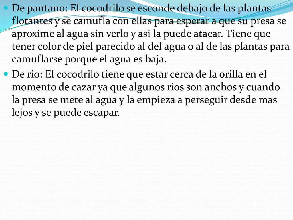 De pantano: El cocodrilo se esconde debajo de las plantas flotantes y se camufla con ellas para esperar a que su presa se aproxime al agua sin verlo y asi la puede atacar. Tiene que tener color de piel parecido al del agua o al de las plantas para camuflarse porque el agua es baja.