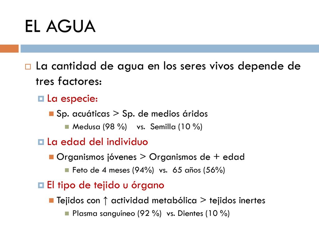 EL AGUA La cantidad de agua en los seres vivos depende de tres factores: La especie: Sp. acuáticas > Sp. de medios áridos.
