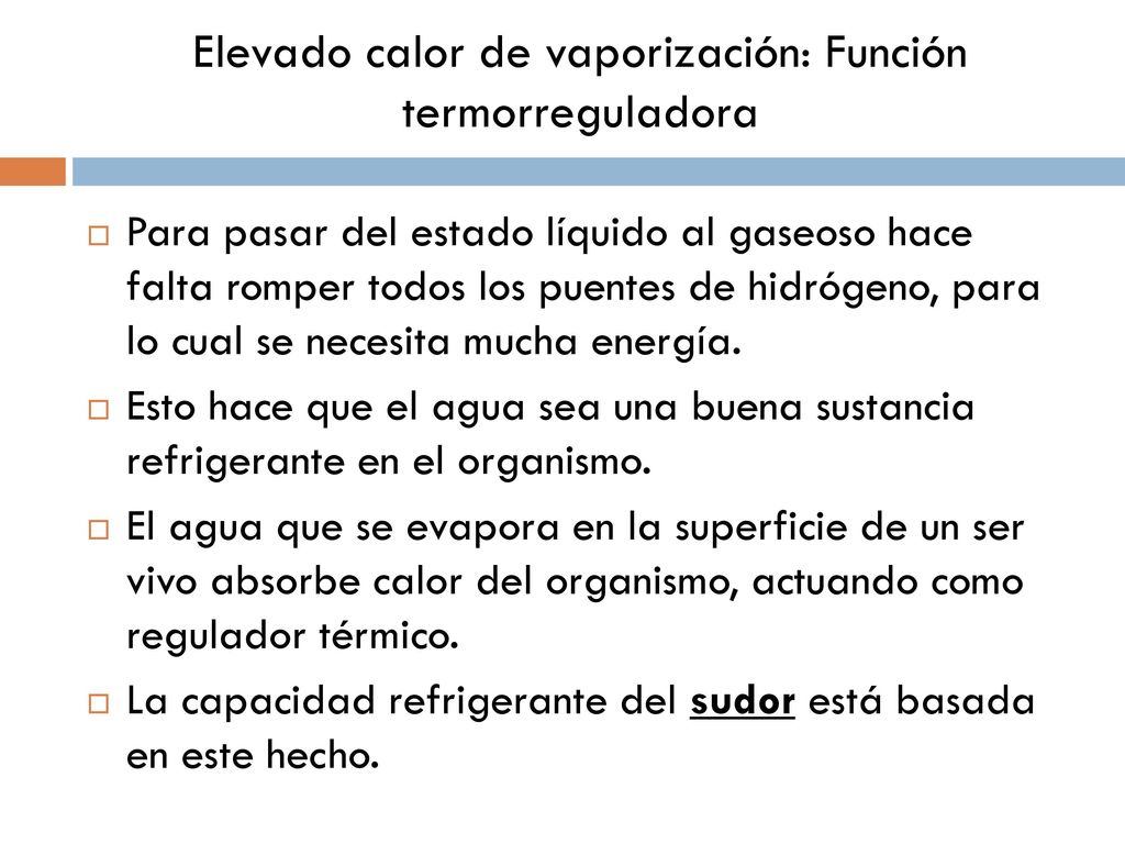 Elevado calor de vaporización: Función termorreguladora