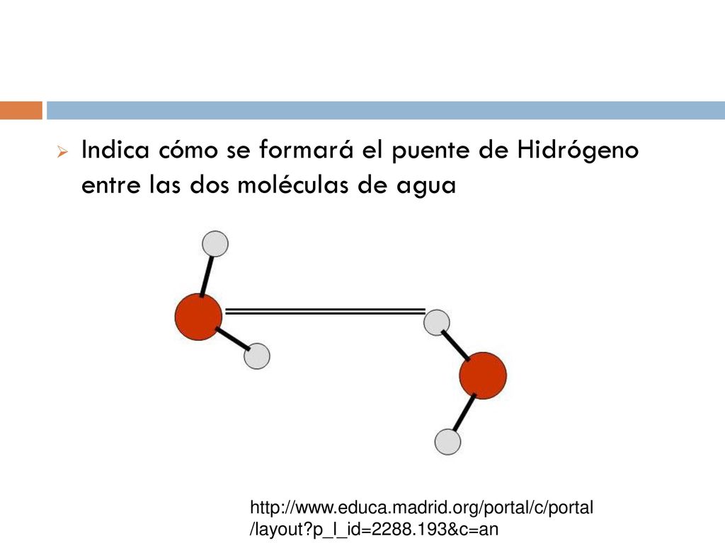 Indica cómo se formará el puente de Hidrógeno entre las dos moléculas de agua