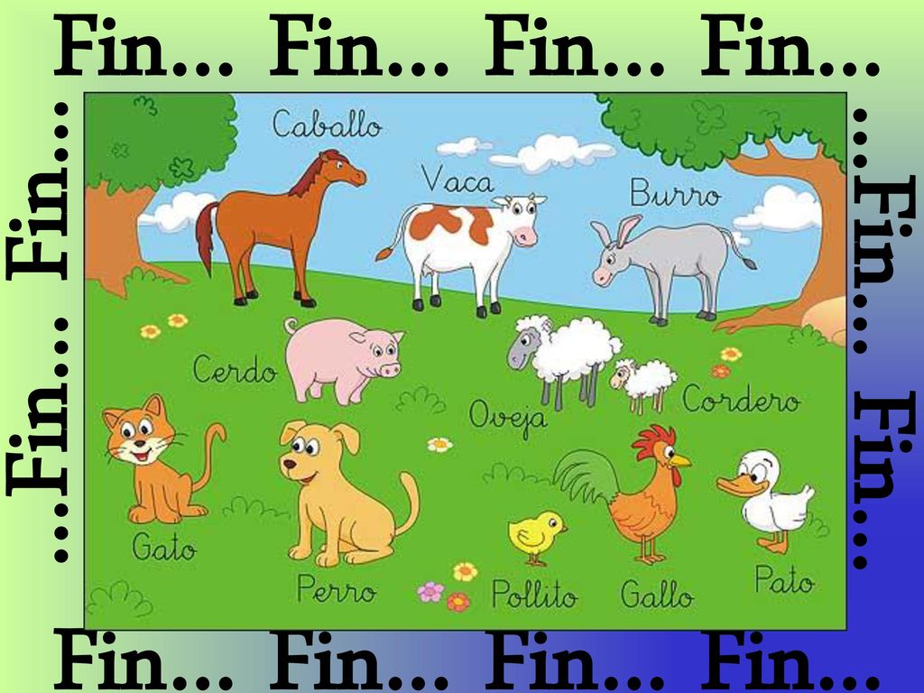 Fin… Fin… Fin… Fin… …Fin… Fin… …Fin… Fin… Fin… Fin… Fin… Fin…