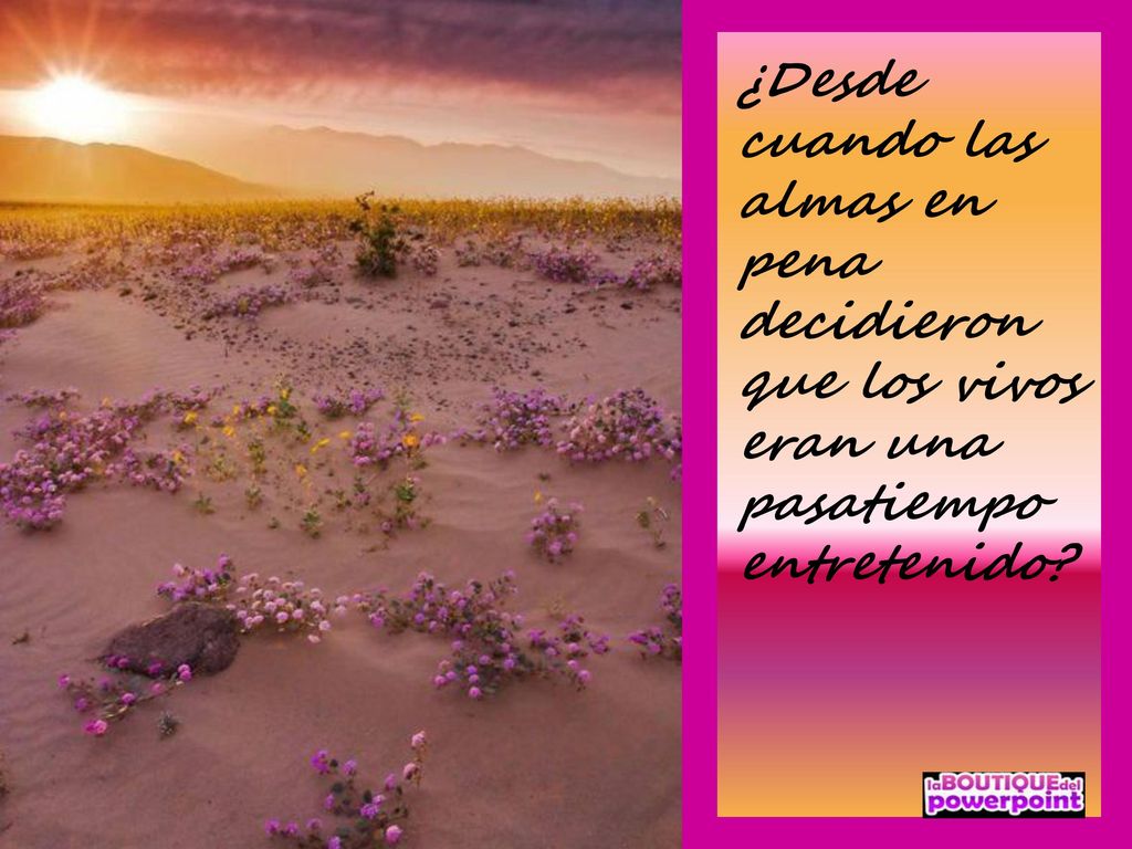 ¿Desde cuando las almas en pena decidieron que los vivos eran una pasatiempo entretenido