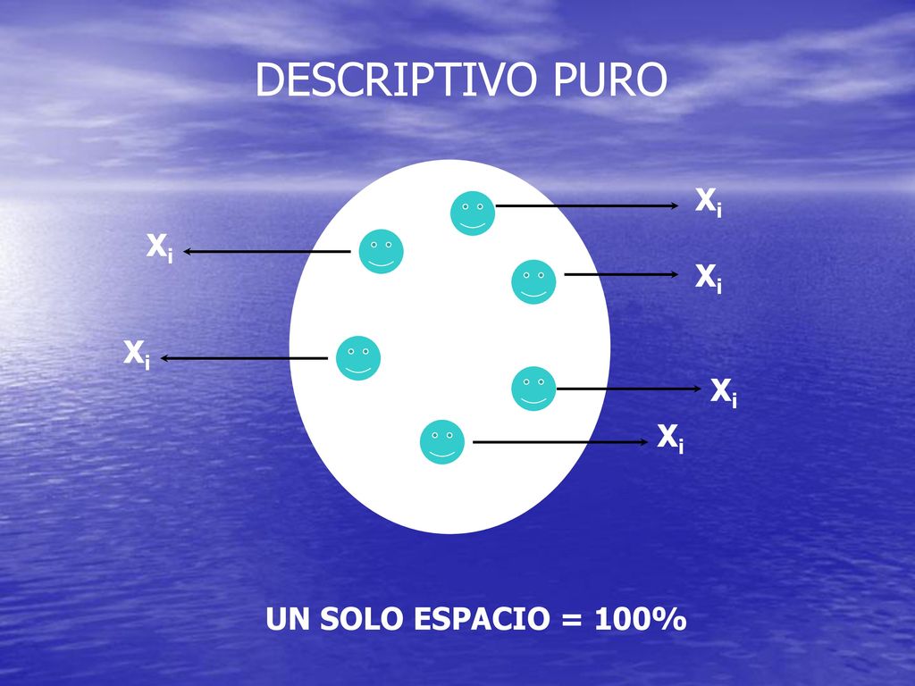 DESCRIPTIVO PURO Xi Xi Xi Xi Xi Xi UN SOLO ESPACIO = 100%