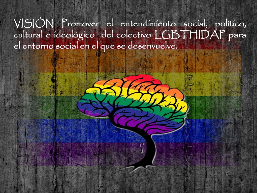 VISIÓN Promover el entendimiento social, político, cultural e ideológico del colectivo LGBTHIDAP para el entorno social en el que se desenvuelve.