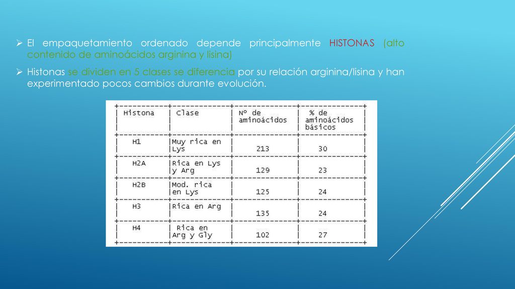 El empaquetamiento ordenado depende principalmente HISTONAS (alto contenido de aminoácidos arginina y lisina)