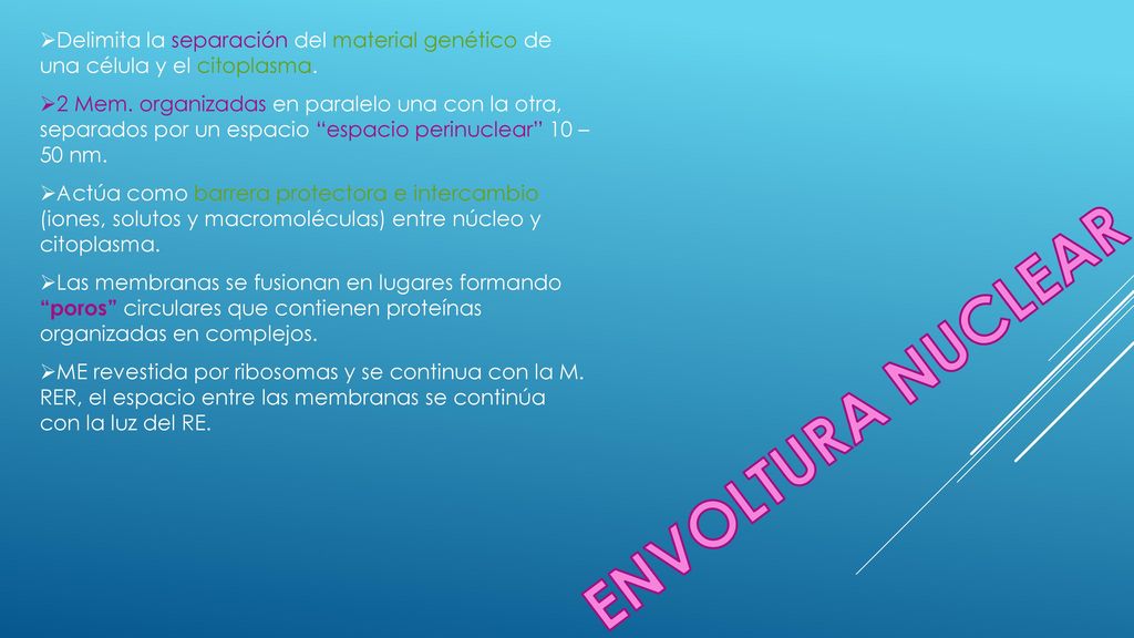 Delimita la separación del material genético de una célula y el citoplasma.