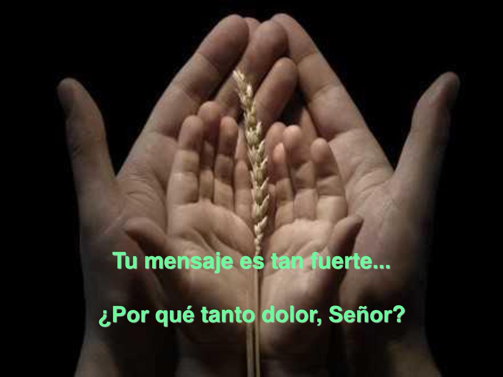 Tu mensaje es tan fuerte... ¿Por qué tanto dolor, Señor
