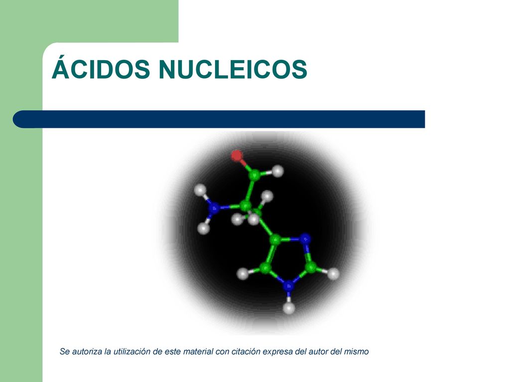 ÁCIDOS NUCLEICOS Se autoriza la utilización de este material con citación expresa del autor del mismo.