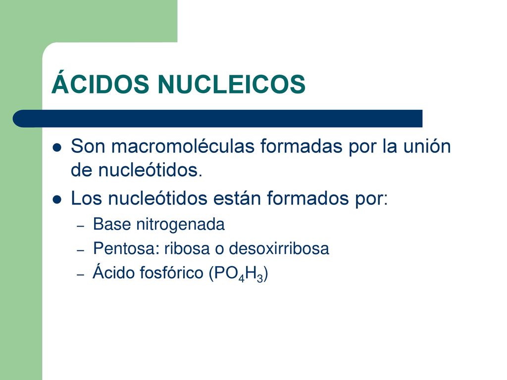 ÁCIDOS NUCLEICOS Son macromoléculas formadas por la unión de nucleótidos. Los nucleótidos están formados por: