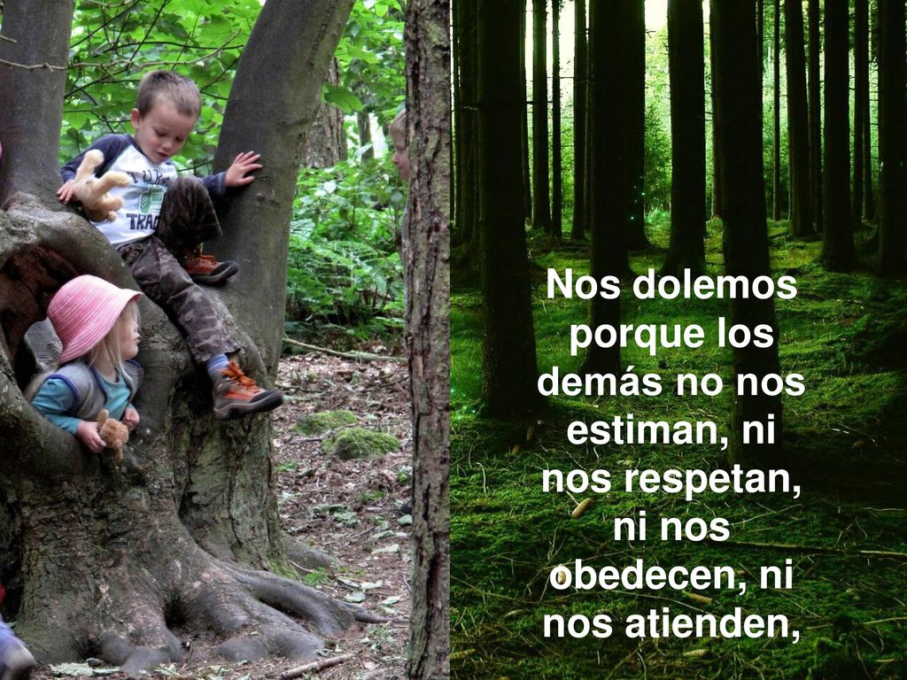Nos dolemos porque los demás no nos estiman, ni nos respetan, ni nos obedecen, ni nos atienden,