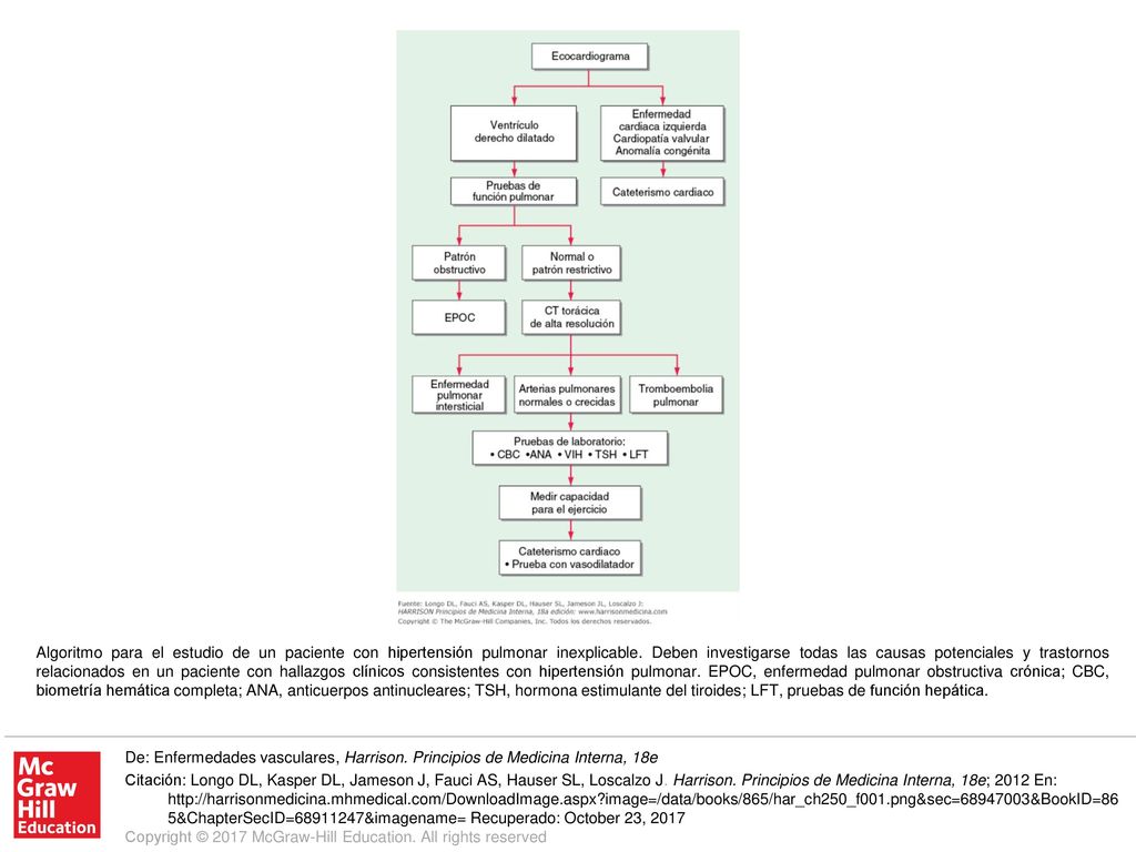 Algoritmo para el estudio de un paciente con hipertensión pulmonar inexplicable. Deben investigarse todas las causas potenciales y trastornos relacionados en un paciente con hallazgos clínicos consistentes con hipertensión pulmonar. EPOC, enfermedad pulmonar obstructiva crónica; CBC, biometría hemática completa; ANA, anticuerpos antinucleares; TSH, hormona estimulante del tiroides; LFT, pruebas de función hepática.