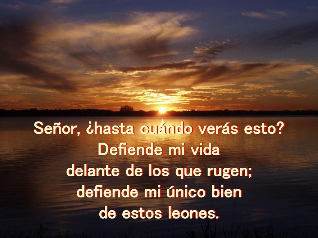 Señor, ¿hasta cuándo verás esto delante de los que rugen;