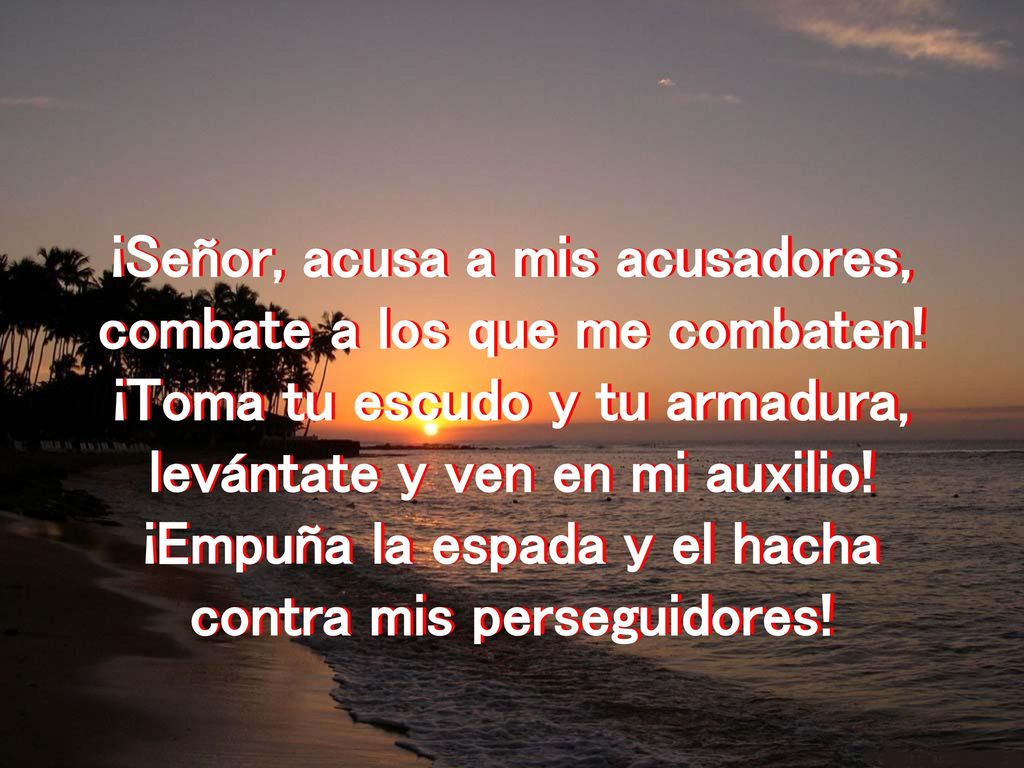 ¡Señor, acusa a mis acusadores, combate a los que me combaten!