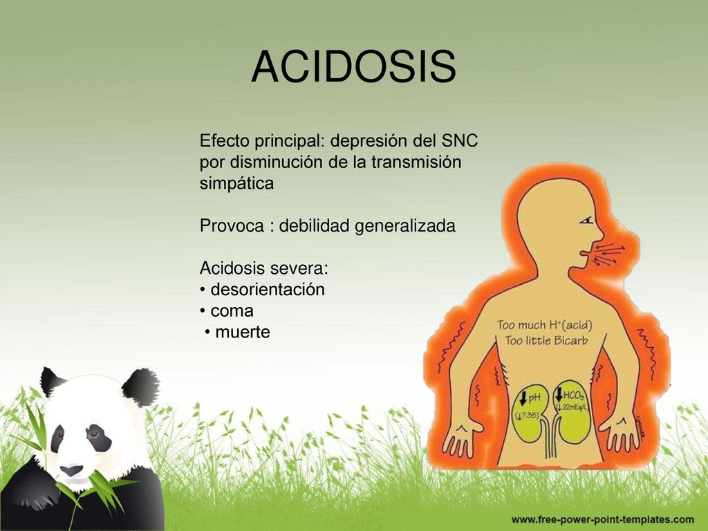 ACIDOSIS Efecto principal: depresión del SNC por disminución de la transmisión simpática. Provoca : debilidad generalizada.