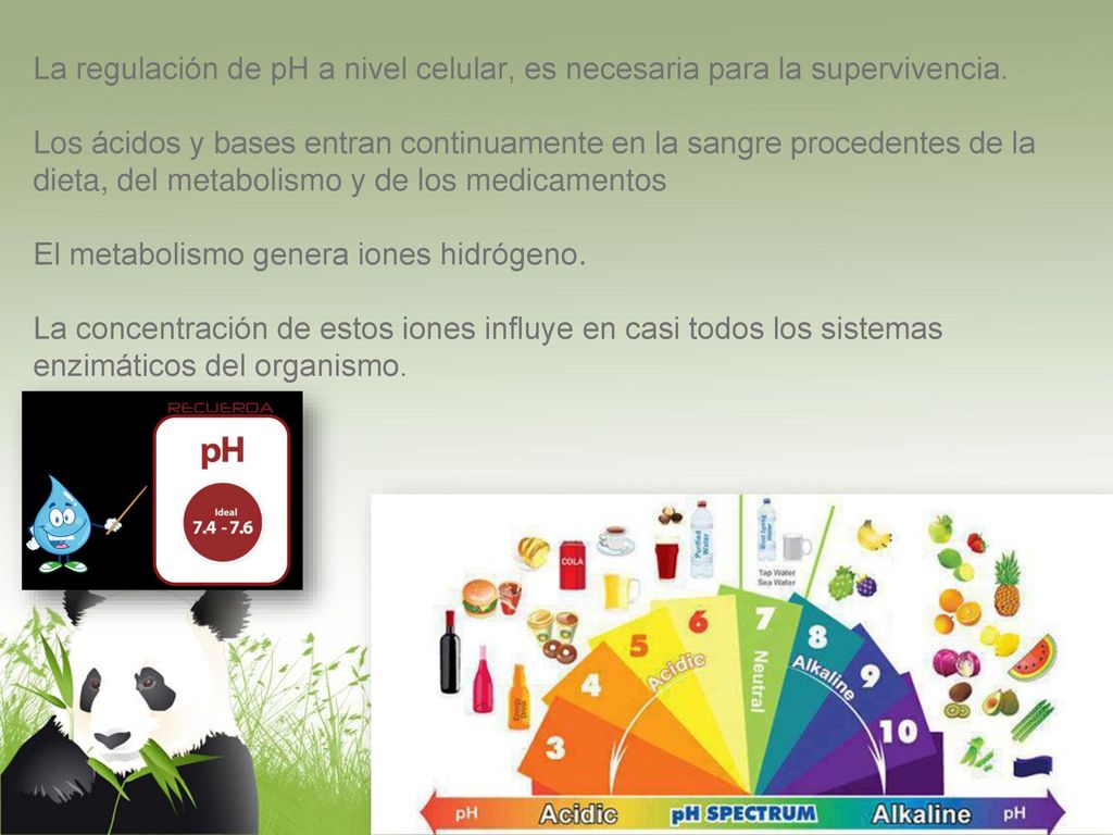 La regulación de pH a nivel celular, es necesaria para la supervivencia.